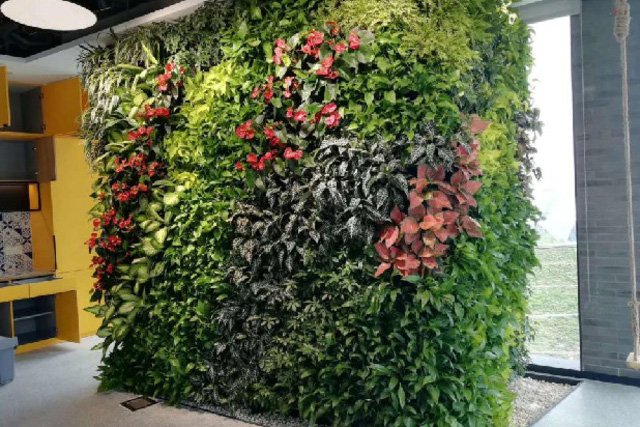 植物墙|前滩铁狮门项目
