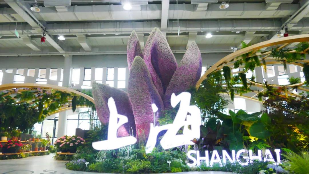 花博会上海室内馆，上房带你抢先看
